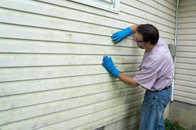 Affordable Siding Repair and Maintenance Services in Melvindale, MI